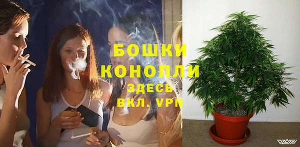 a pvp Абаза