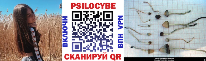 OMG зеркало  Тарко-Сале  Галлюциногенные грибы Psilocybe  продажа наркотиков 